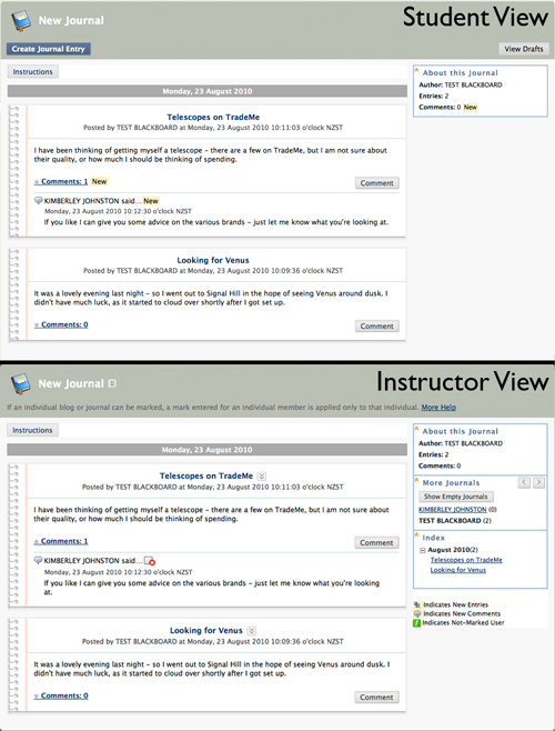 Screen shot of student view and instructor view for journals in Blackboard