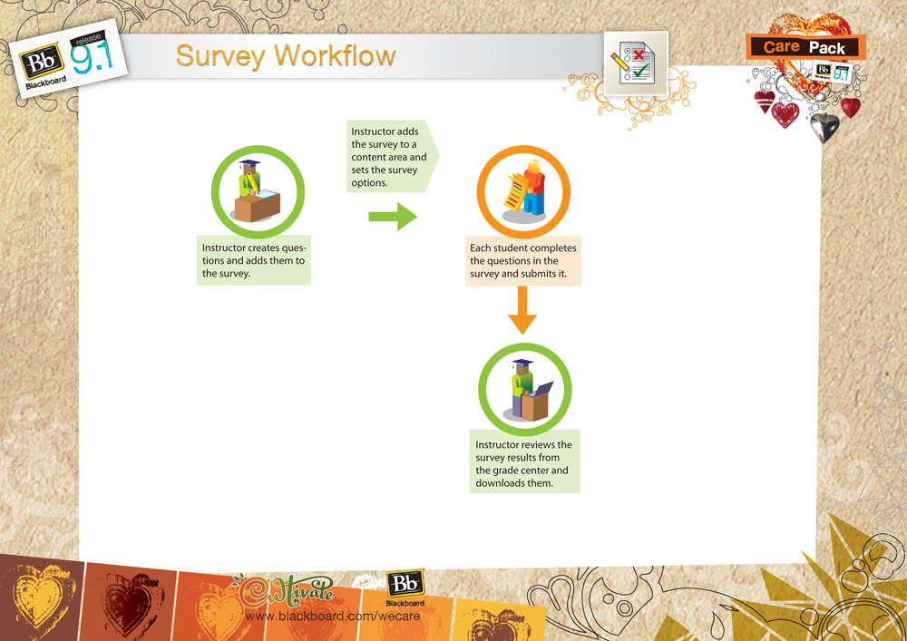 Survey Workflow diagram