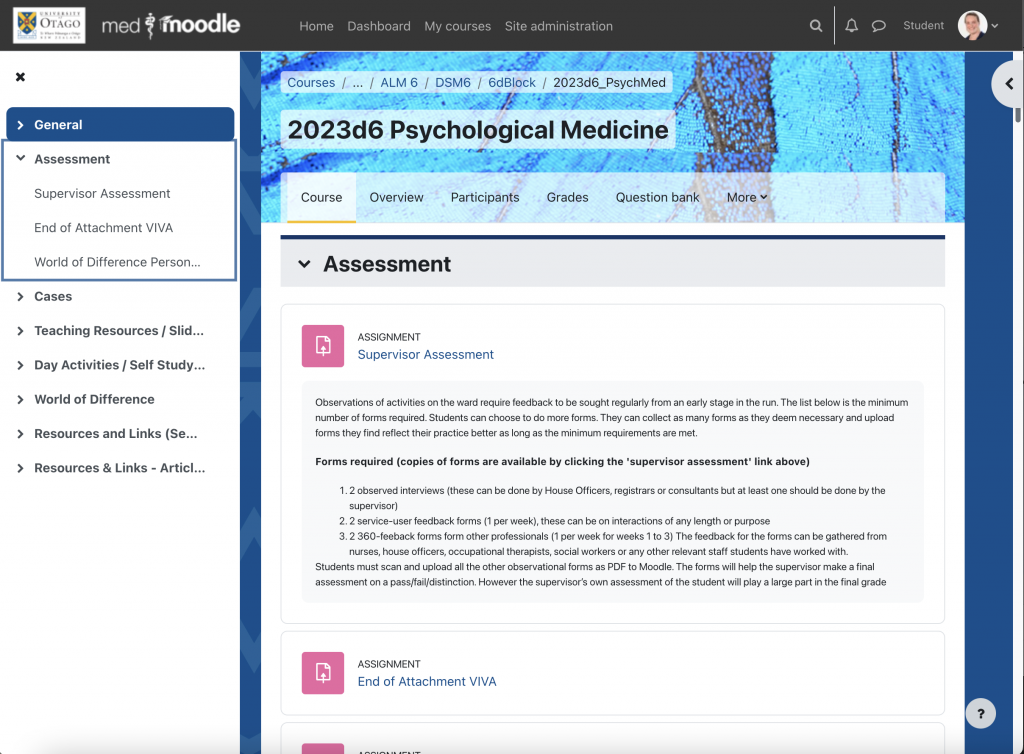 Screenshot of assessment section in Moodle